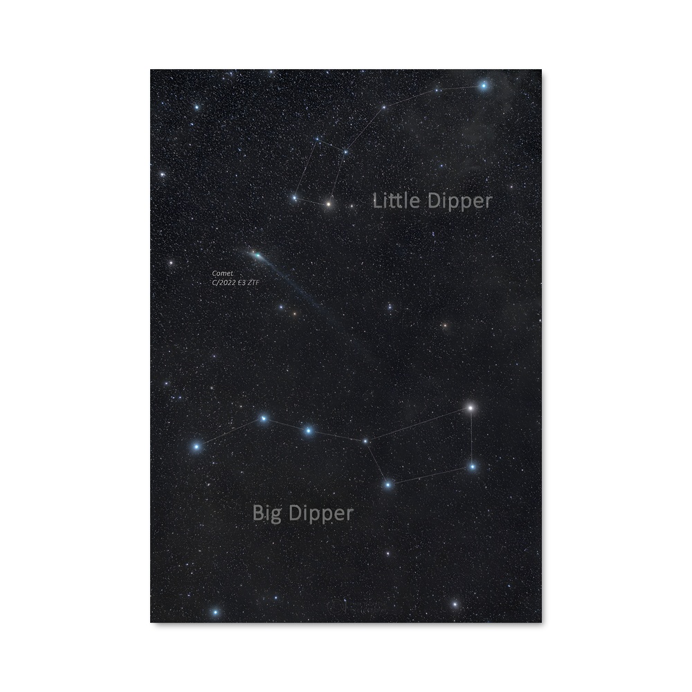 Poster Constellation du Plopus – affiche Constellations